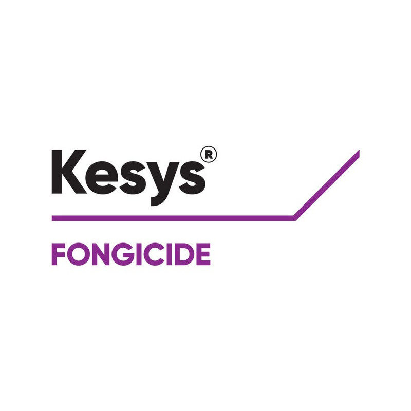 KESYS KESYS