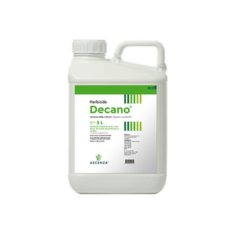 DECANO DECANO