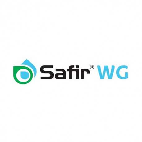 SAFIR WG