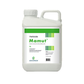 MAMUT
