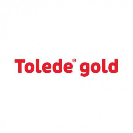 TOLEDE GOLD