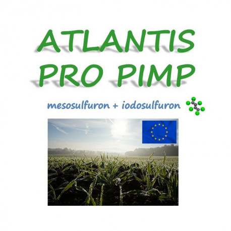ATLANTIS PRO PIMP