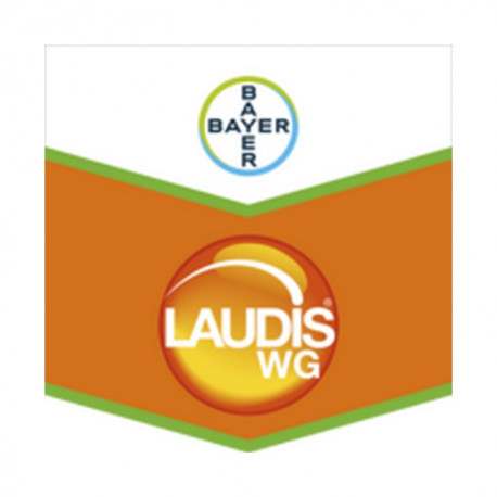 LAUDIS WG