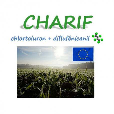CHARIF