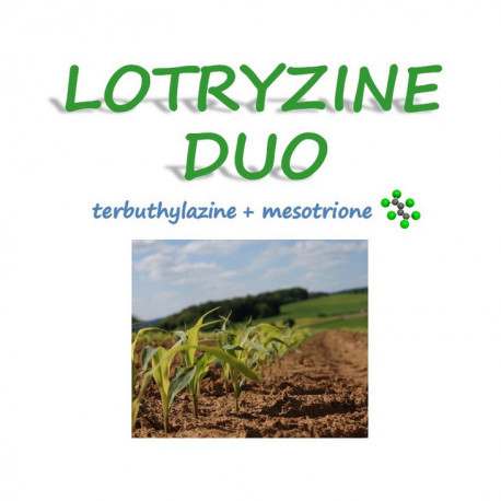 LOTRYZINE DUO