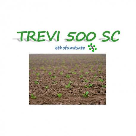 TREVI 500 SC