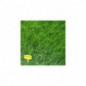RGI 2N alternatif JOLLY, Ray-grass d'Italie BIGBAG