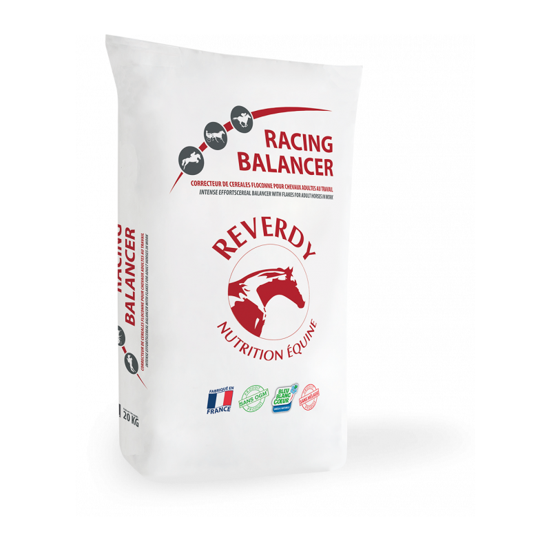 RACING BALANCER RACING BALANCER