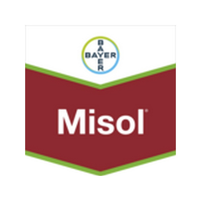 MISOL MISOL