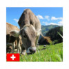 Mélange KALIMIX SUISSE