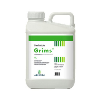 GRIMS