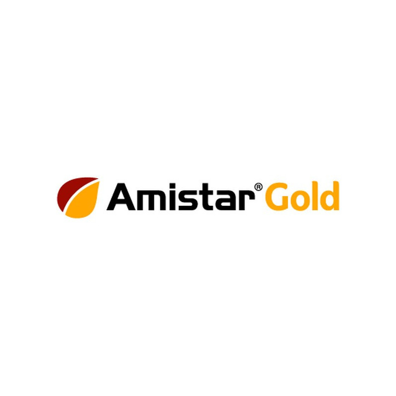 AMISTAR GOLD AMISTAR GOLD