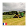 RGI 2N non-alternatif ITAKA, Ray-grass d'Italie