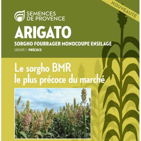 Sorgho ensilage ARIGATO