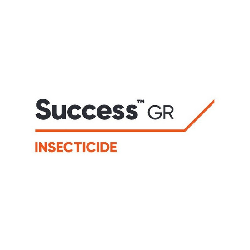 SUCCESS GR