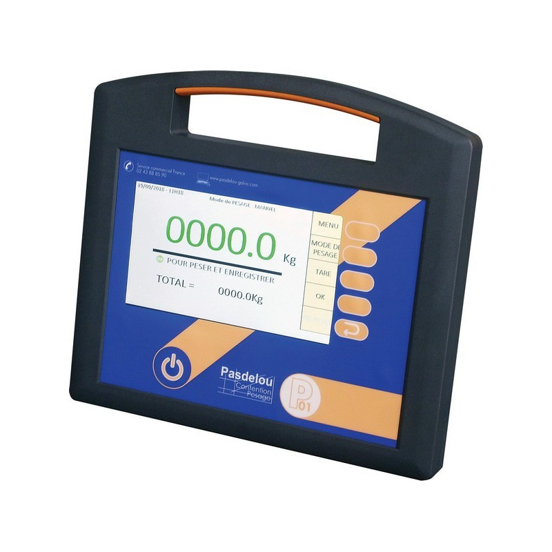 PACK INDICATEUR DE PESEE P01 PACK INDICATEUR DE PESEE P01