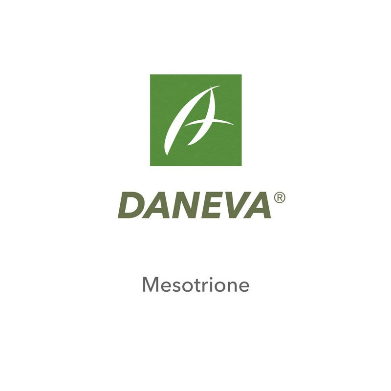 DANEVA DANEVA