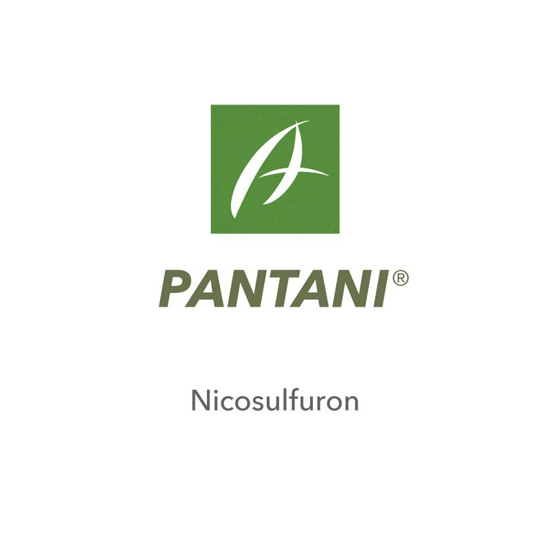 PANTANI PANTANI