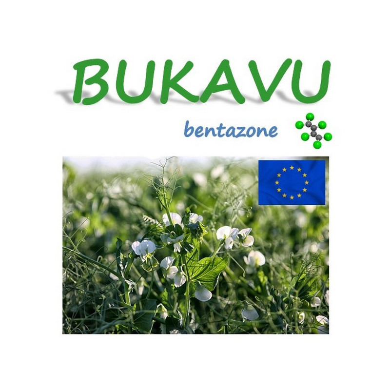 BUKAVU BUKAVU