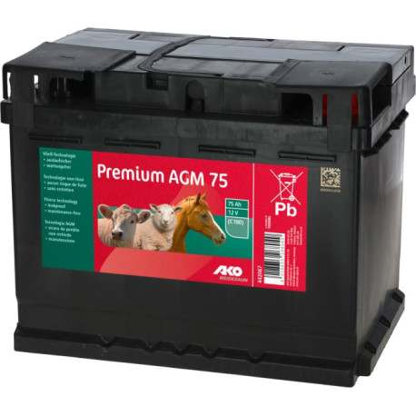 Batterie AGM PREMIUM 75 Ah