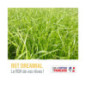 RGA 2N DREAMIAL, Ray-grass Hybride