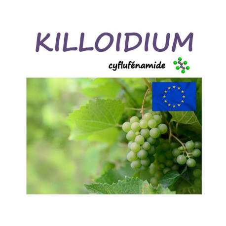 KILLOIDIUM