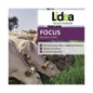 RGI 2N non-alternatif Bio FOCUS, Ray-grass d'Italie