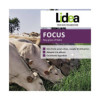 RGI 2N non-alternatif Bio FOCUS, Ray-grass d'Italie