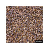 Sainfoin double en cosse - Bio