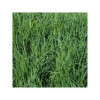 Dactyle SWANTE Bio