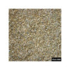 Dactyle SWANTE Bio