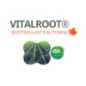 VITALROOT