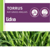 RGA 4N 1/2 TORRUS, Ray-grass Anglais