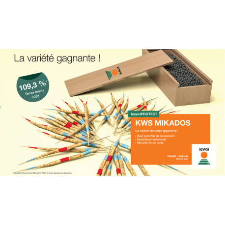 Colza KWS MIKADOS