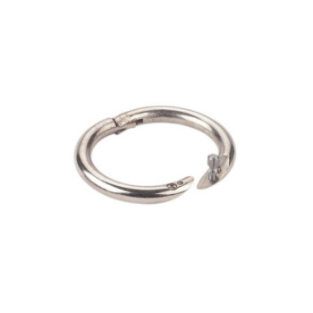 ANNEAU TAUREAU CHROME