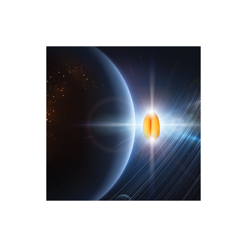 Blé KWS GLOBE (TMG) - Dose 0,5 M gr