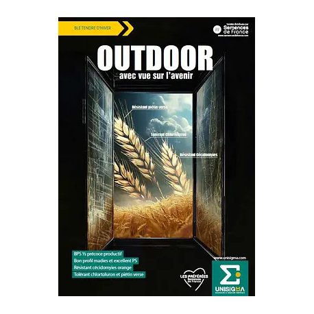 Blé OUTDOOR