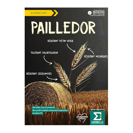 Blé PAILLEDOR