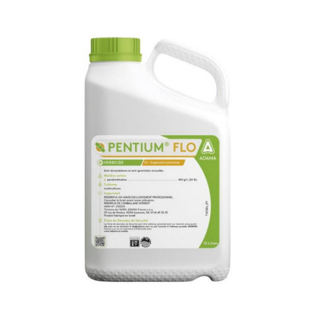 PENTIUM FLO
