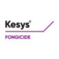 KESYS