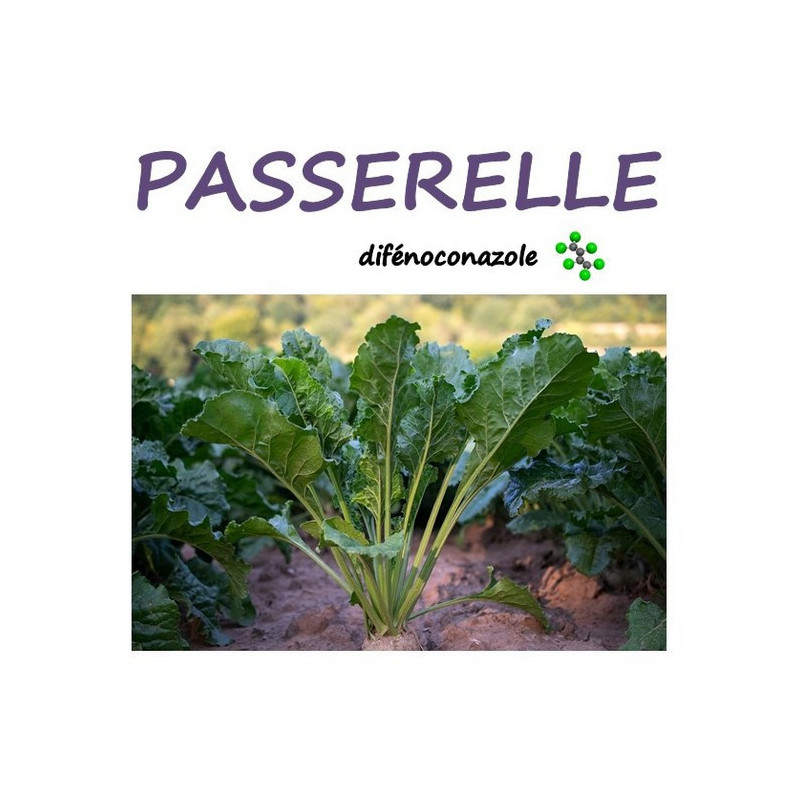 PASSERELLE PASSERELLE