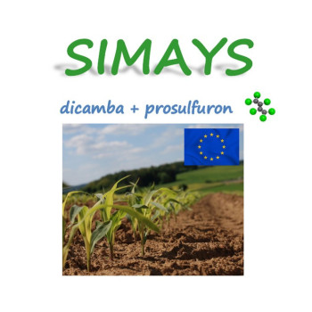 SIMAYS