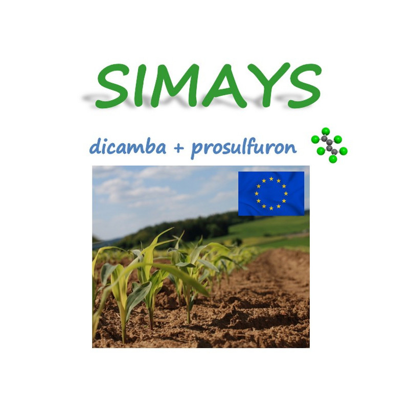 SIMAYS SIMAYS