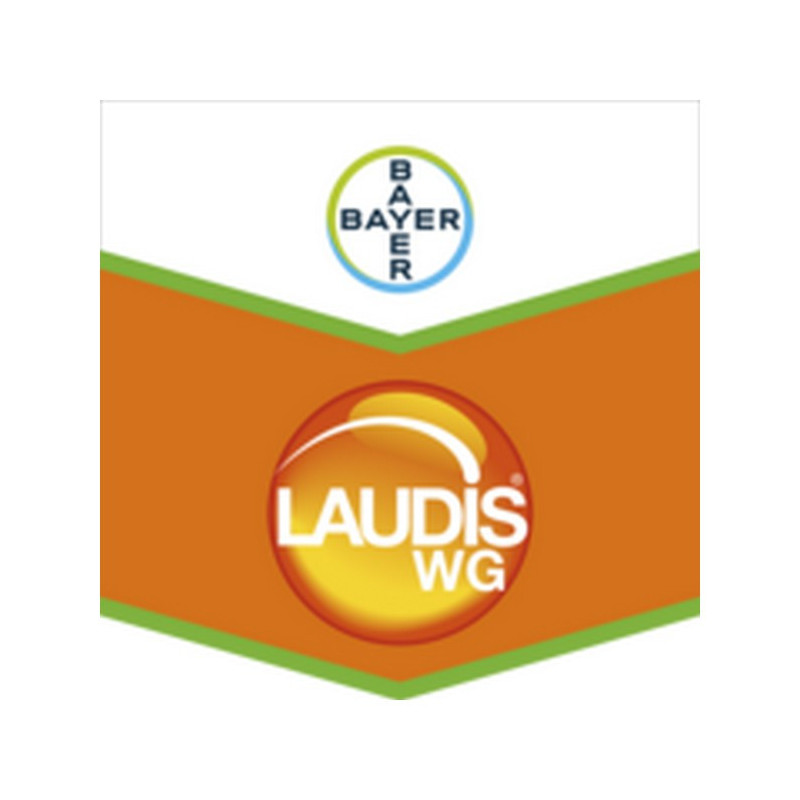 LAUDIS WG LAUDIS WG