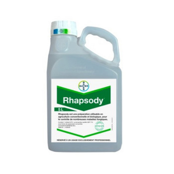 RHAPSODY