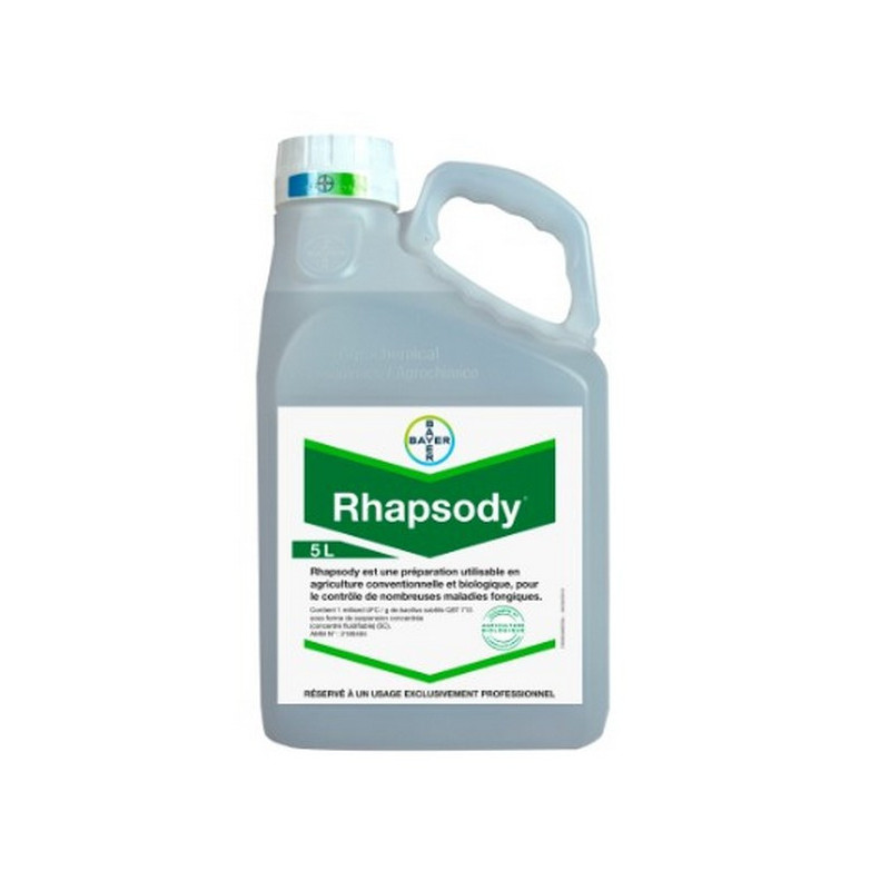 RHAPSODY