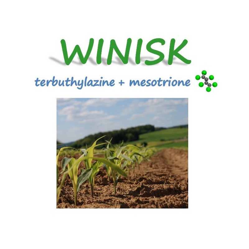 WINISK WINISK