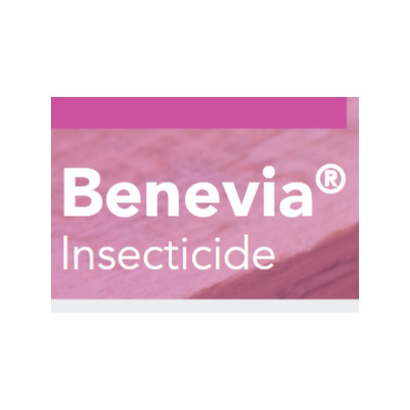 BENEVIA BENEVIA