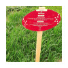 Millet perlé fourrager SPEEDFEED