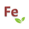 PLANTIN FER 648